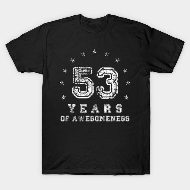 Vintage 53 years of awesomeness T-Shirt by opippi